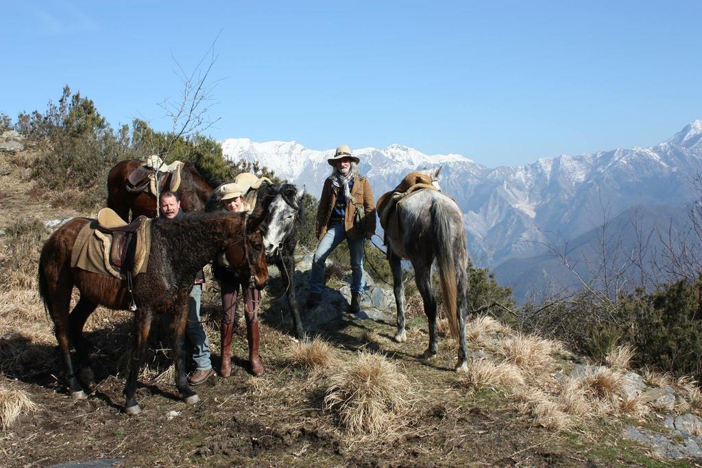 マッサ Centro Trekking A Cavallo Monte Brugianaゲストハウス エクステリア 写真